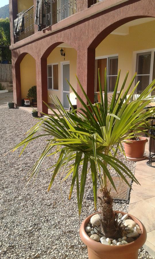 Guest House Amra New Athos Ngoại thất bức ảnh