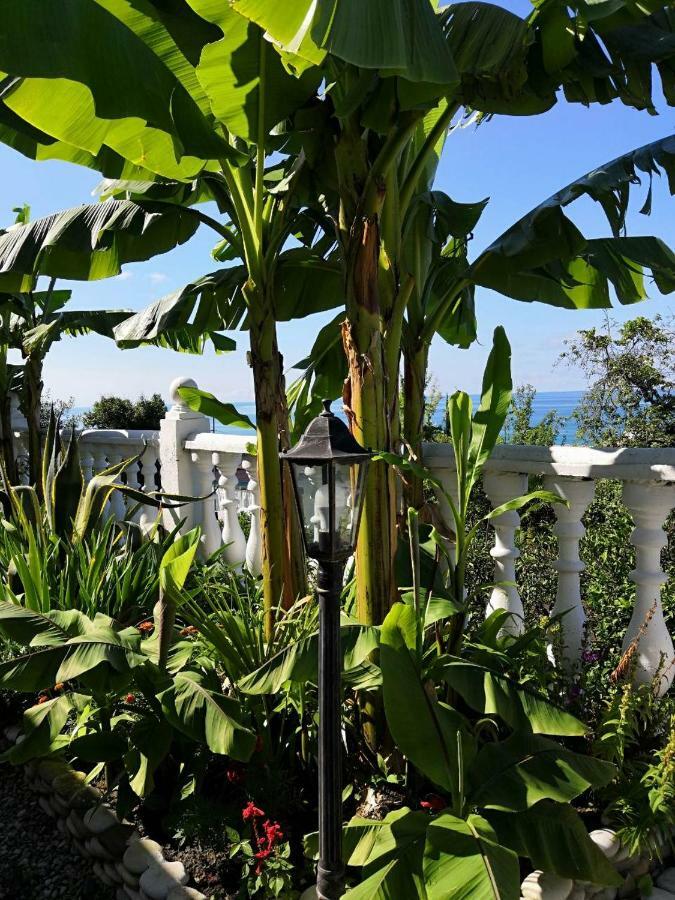 Guest House Amra New Athos Ngoại thất bức ảnh